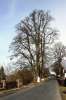 Blianovsk lpy