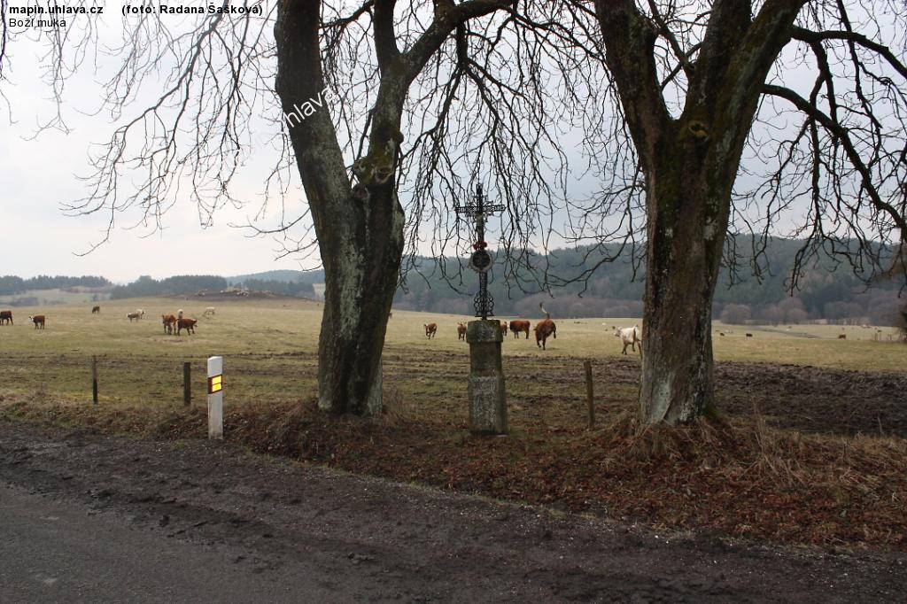 Radana �a�kov�