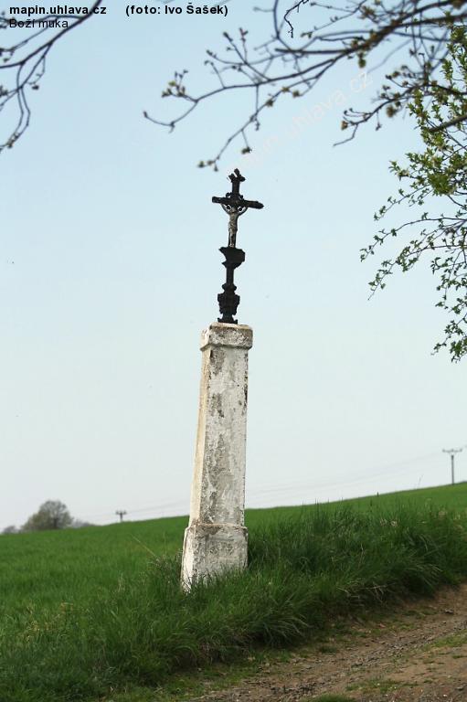 Ivo �a�ek