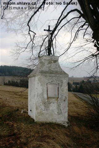 Ivo �a�ek