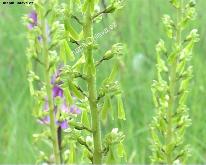 okno uzav�ete kliknut�m !