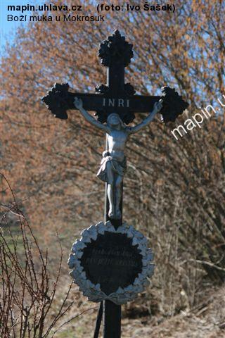 Ivo aek
