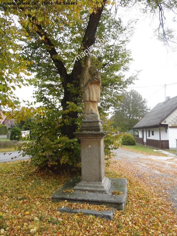 Ivo �a�ek