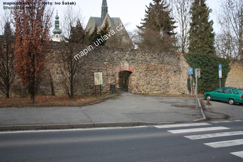 Ivo �a�ek