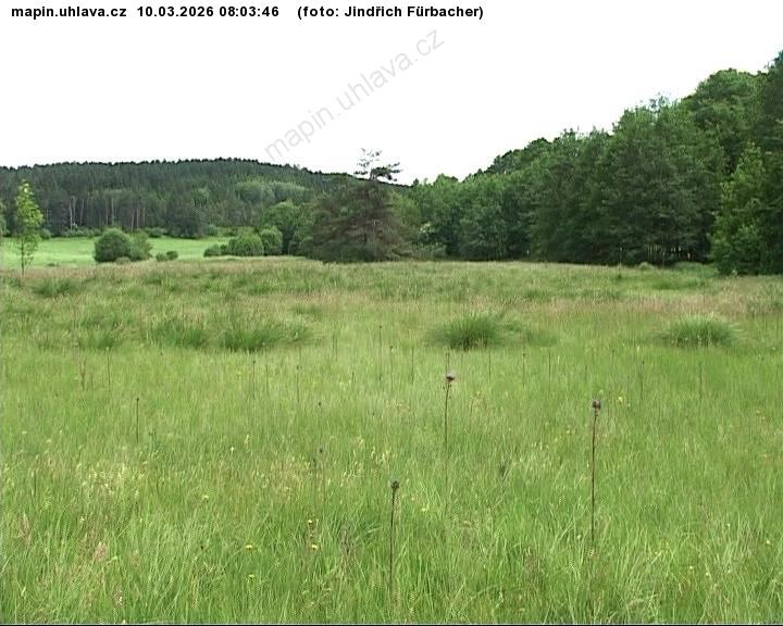 Jind�ich F�rbacher