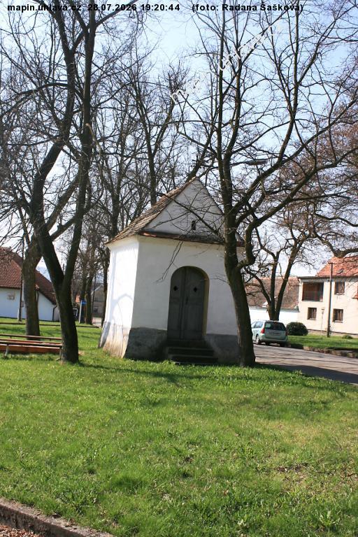 Radana �a�kov�